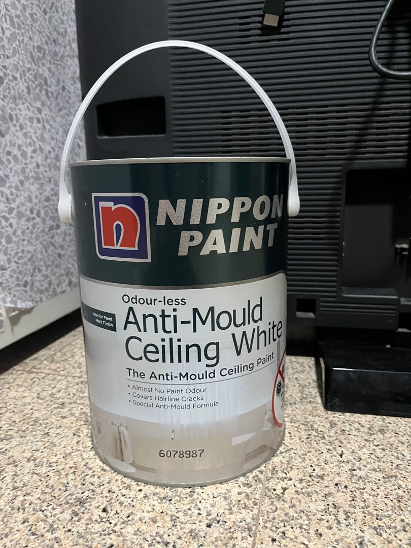 Nippon Paint AntiMould Ceiling White 5L, Furniture & Home Living, Home