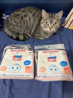 （分類：）位於 。 由 ccq36 提交（商品編號 1211650312，圖片 1）。簡介： 。