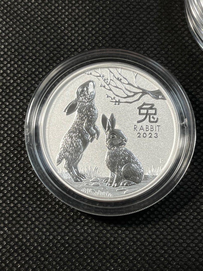 Silver coin 2oz rabbit perth mint 2023, Hobbies & Toys, Memorabilia ...