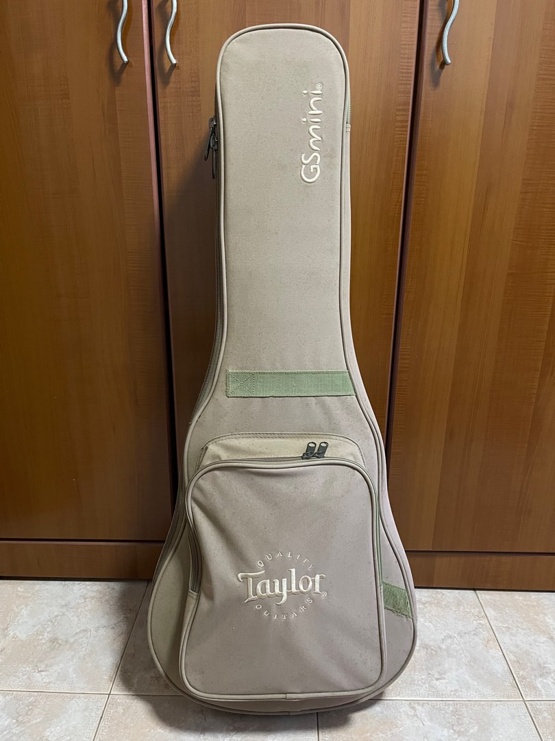Taylor GS Mini Hard Bag