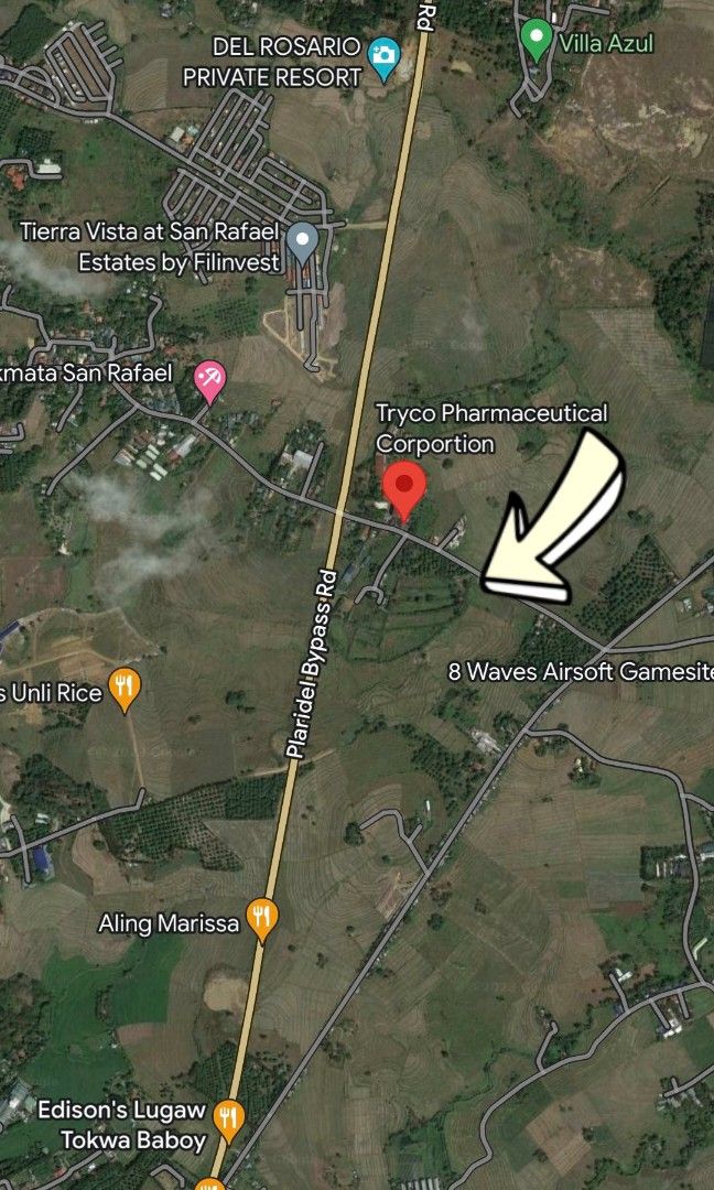 Vacant Agricultural Lot For Sale 1 Hectare Located in Bgy San Roque