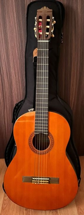 Yamaha cg on sale 100a guitar price