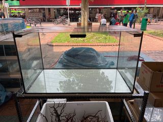 (Category: ) located in . Submitted by easyaquarium (Listing ID 1211808415, Image 1). Description: .
