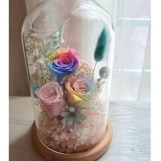 Dome jar floral (preserved roses)- Valentine's day gift