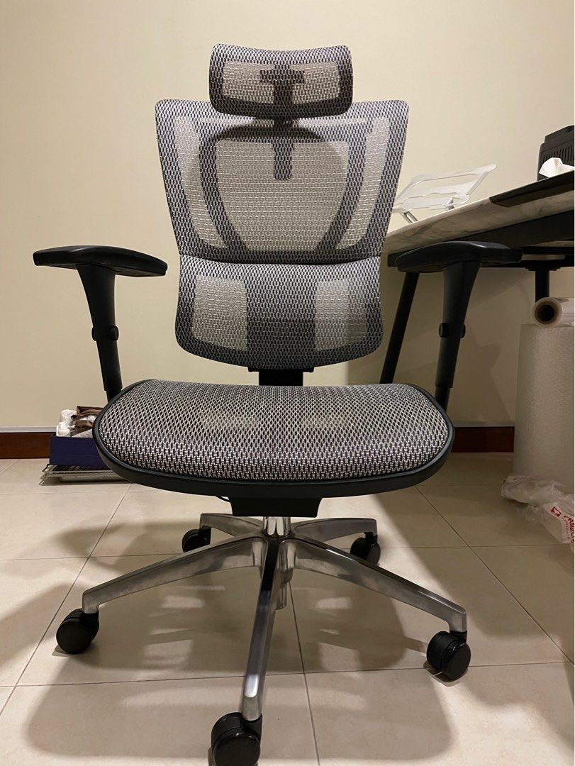 Ergonor chair online