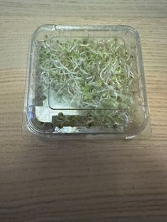 （分類：）位於 。 由 babajiii 提交（商品編號 1211882259，圖片 1）。簡介： 。