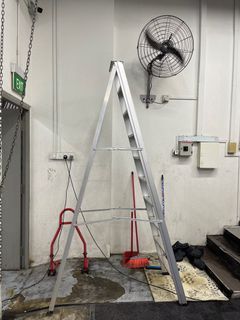 Ladder 10 step