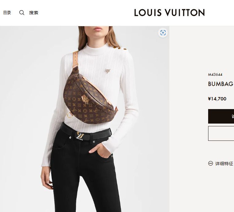 Louis Vuitton Lv Bumbag M43644