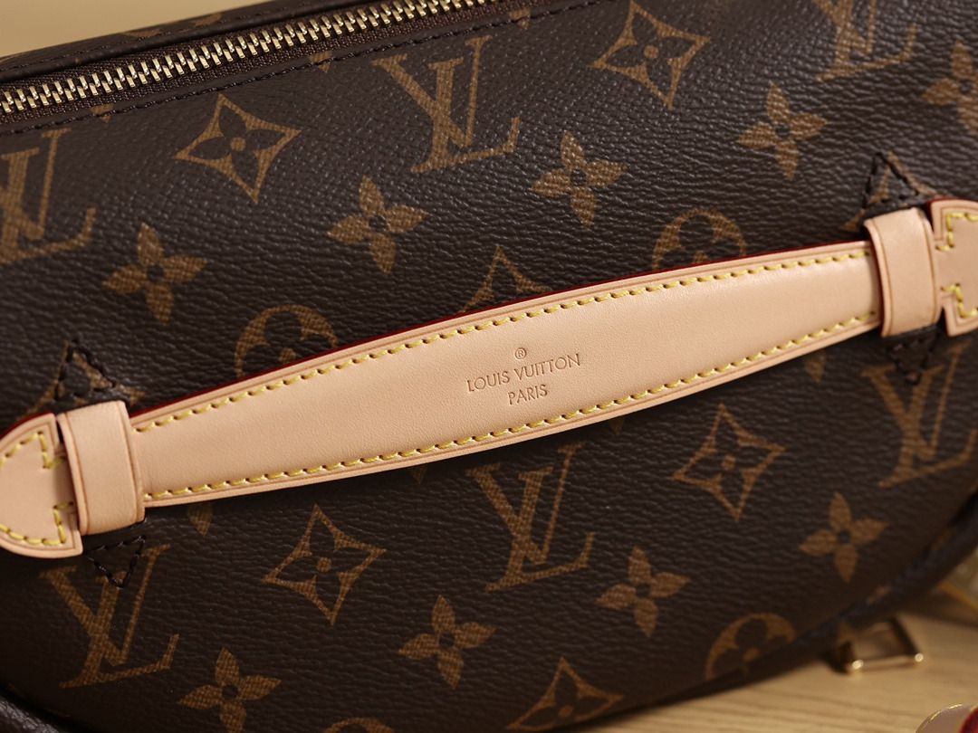 Louis Vuitton bolso bum M43644 carrocería de PVC bolso para hombre, Luxury,  Bags & Wallets on Carousell