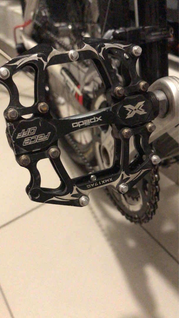 mtb trex