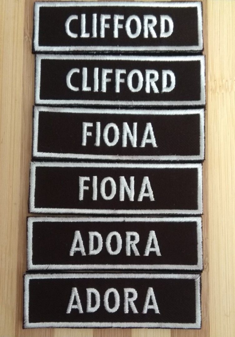 Name Tag Name Patch (Velcro) 3pcs per set, Hobbies & Toys, Stationery