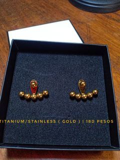 Onhand /Stainless & Titanium Earrings