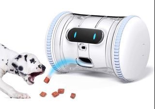 Pet Fitness Robot - VARRAM