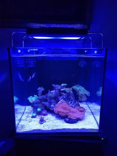 (Category: ) located in . Submitted by tsabar (Listing ID 1211779904, Image 1). Description: .