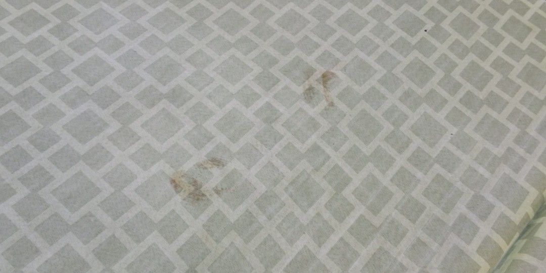 Sofa Bed for Sale, Furniture & Home Living, Furniture, Bed Frames