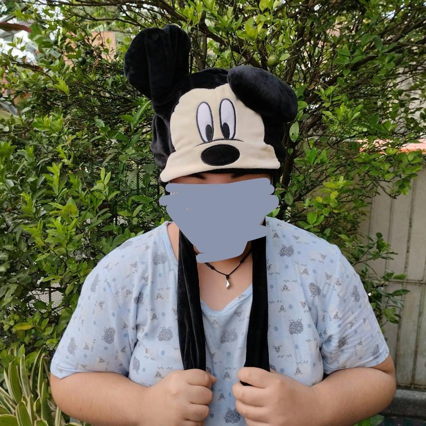 Walt Disney Mickey Mouse Hat, Hobbies & Toys, Toys & Games on Carousell