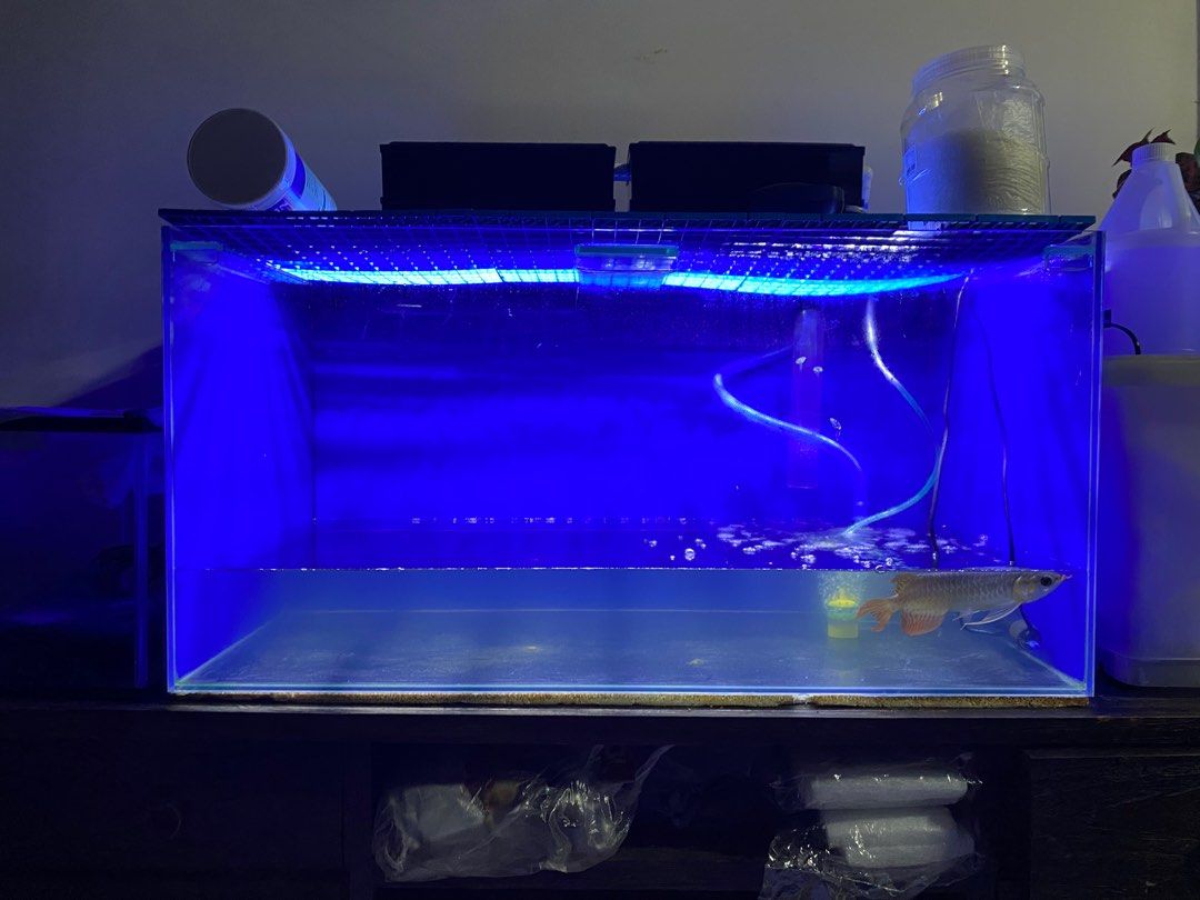 Blue plastic tank (4ft x 2.5ft x 1.5 depth)