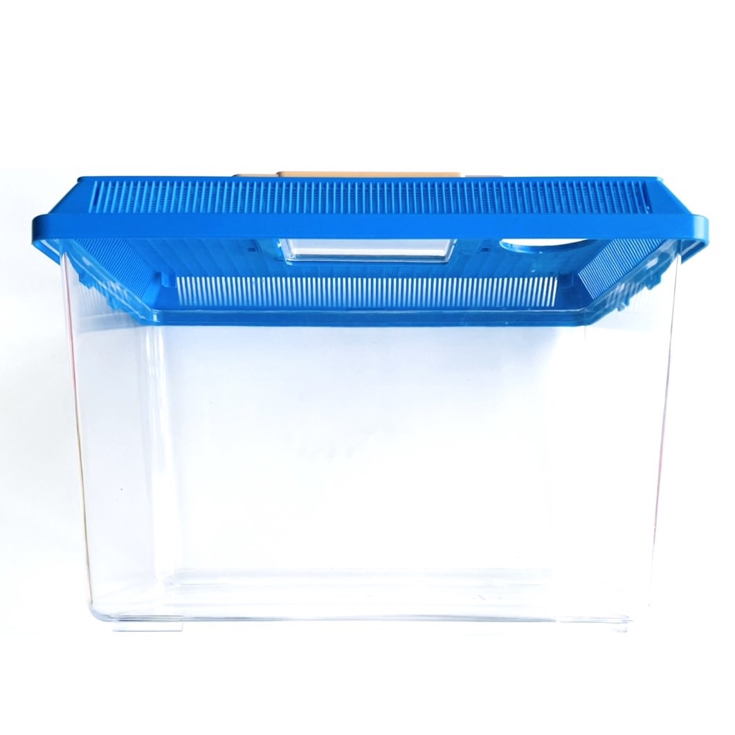 Acrylic Fish Tank, Pet Supplies, Homes & Other Pet Accessories on Carousell