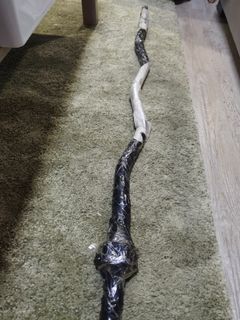 (Category: ) located in . Submitted by jasonlatin (Listing ID 1212051525, Image 1). Description: .