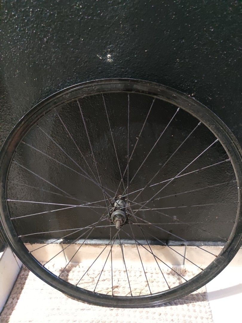 28 bike rim