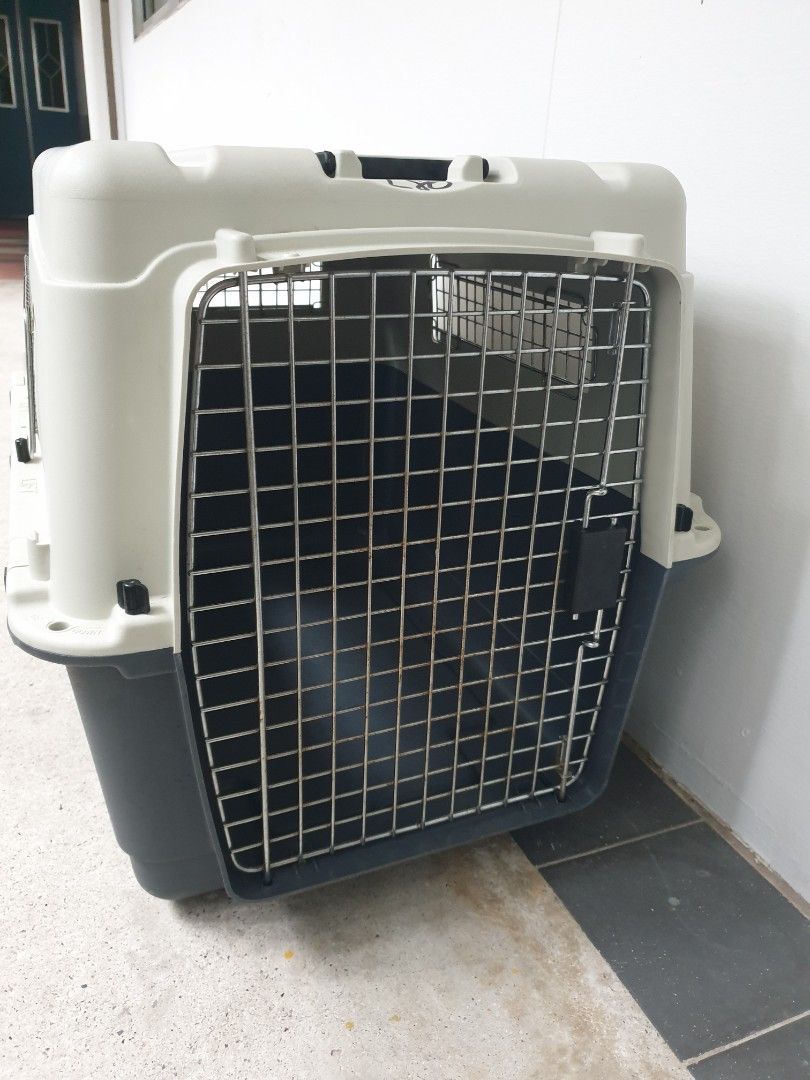Pet Carrier box (extra large) portable., Pet Supplies, Homes & Other Pet Accessories on Carousell