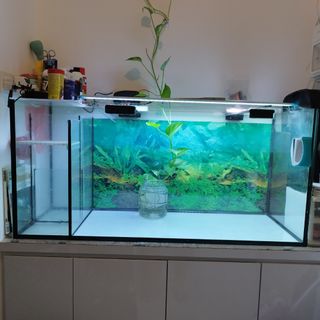 (Category: ) located in . Submitted by gd2deal (Listing ID 1211893141, Image 1). Description: .