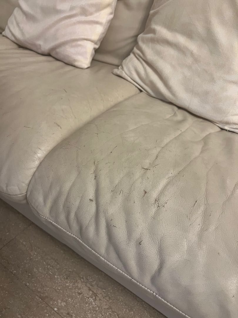 Genuine Leather 3Seater Sofa, Furniture & Home Living, Furniture