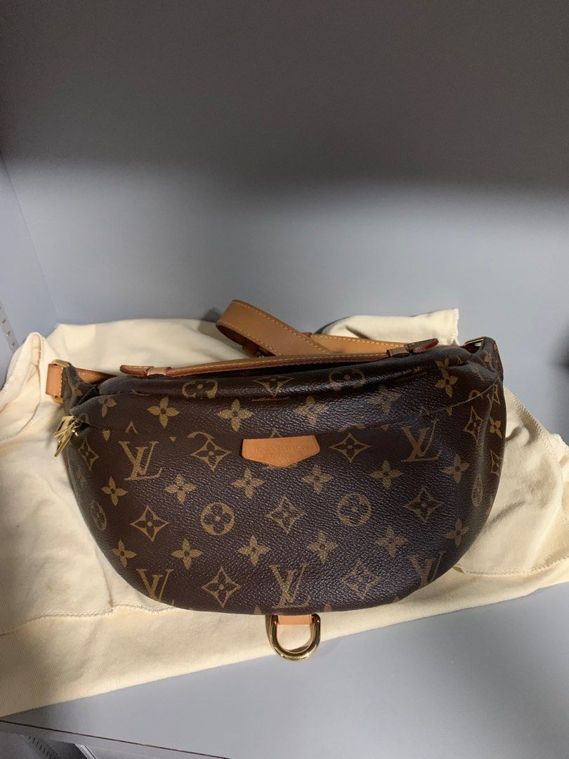 Louis Vuitton Bum Bag: Is It Worth It? - Wishes & Reality