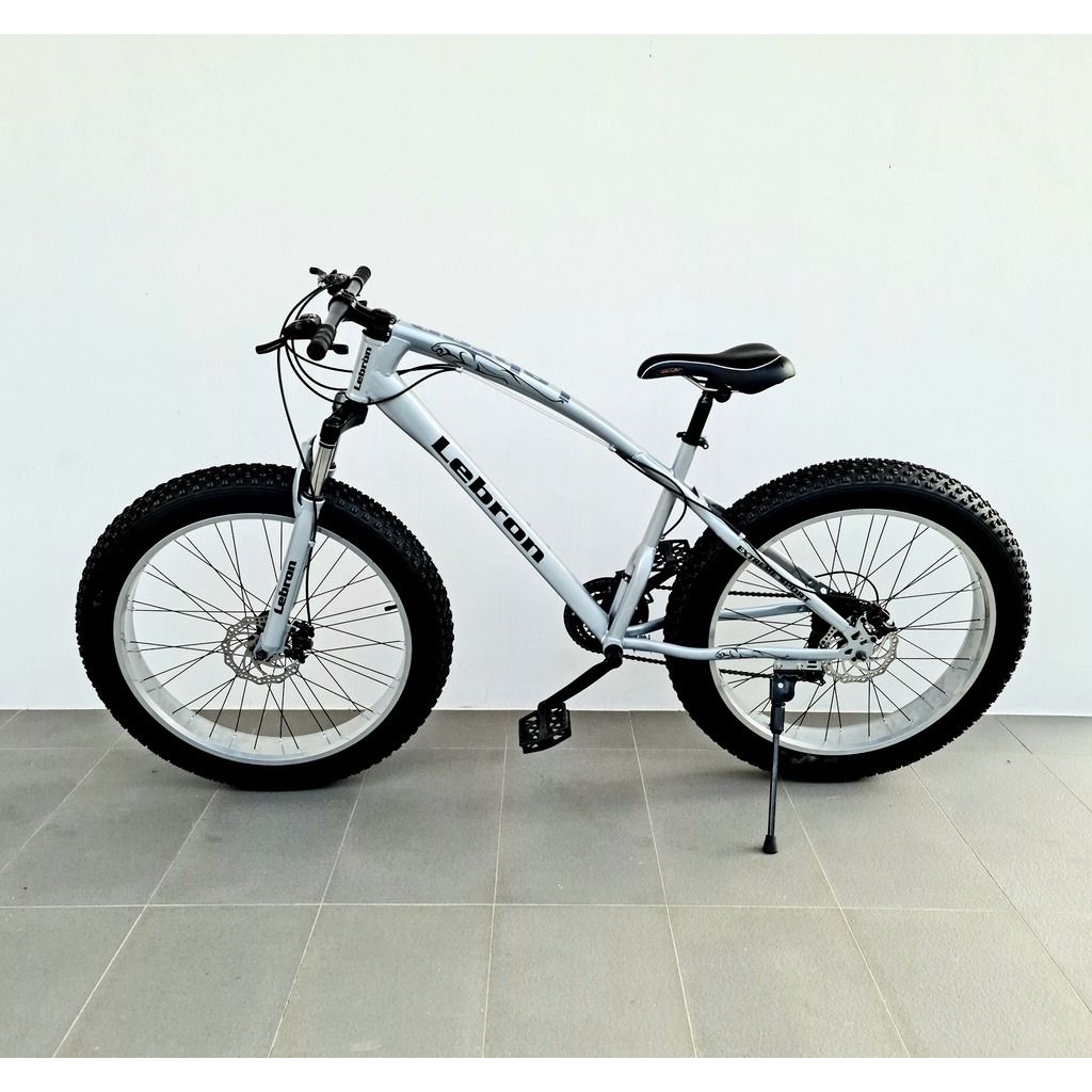 Lebron fat cheap tire bike