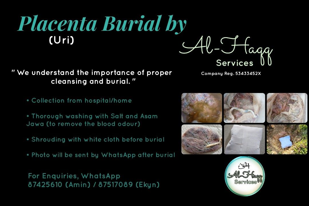 Placenta Burial tanam Uri Announcements On Carousell placenta-burial-tanam-uri-announcements-on-carousell