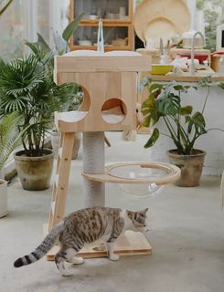 Solid Wood Cat Condo Treehouse