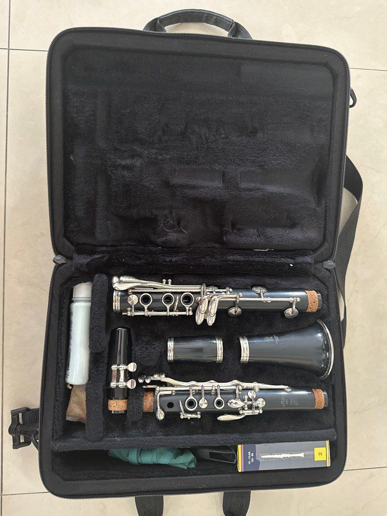 Yamaha YCL250, Hobbies & Toys, Music & Media, Musical