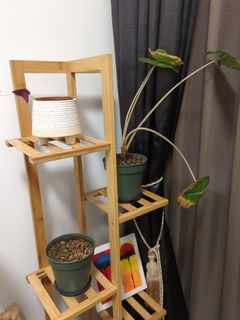 (Category: ) located in . Submitted by yeahs0110 (Listing ID 1212205366, Image 1). Description: .