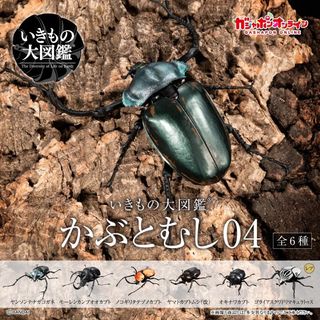 （分類：）位於 。 由 xiang1291 提交（商品編號 1212208385，圖片 1）。簡介： 。