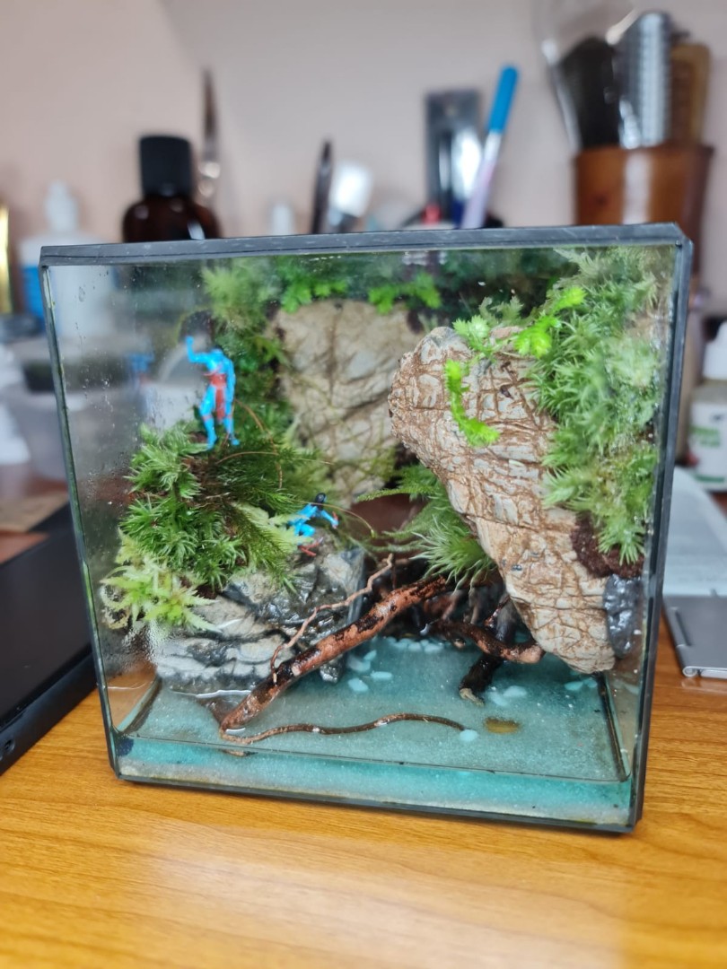 Avatar terrarium, Furniture & Home Living, Gardening, Pots & Planters ...