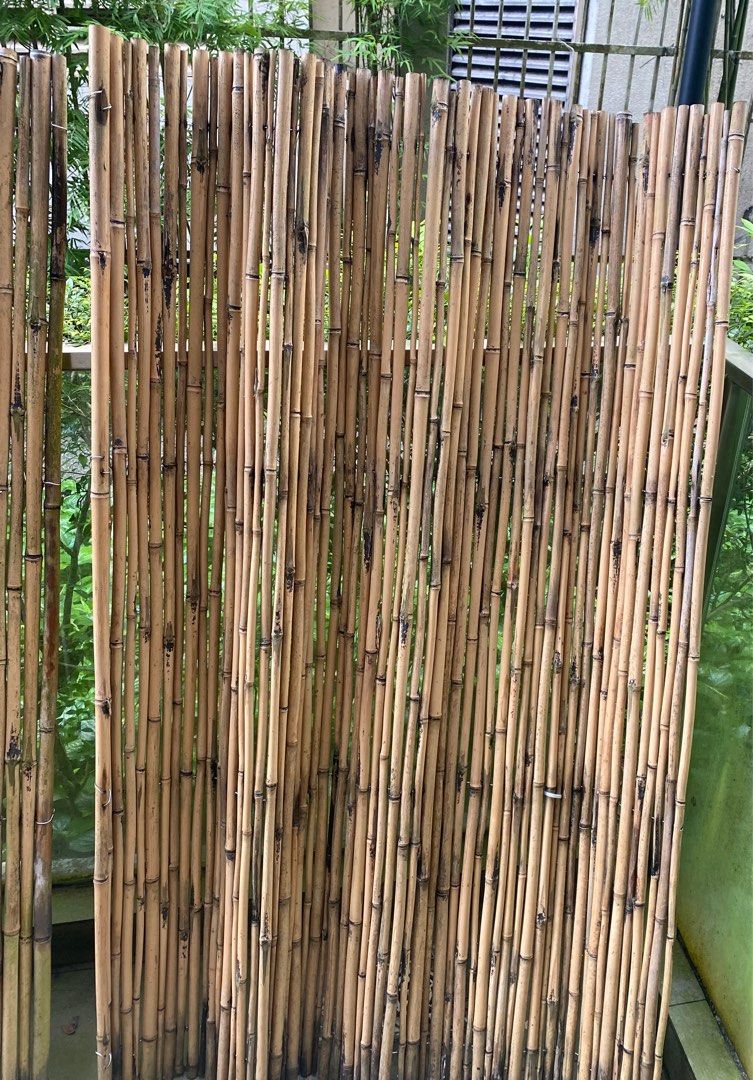 Bamboo cane fencing, Furniture & Home Living, Gardening, Gardening