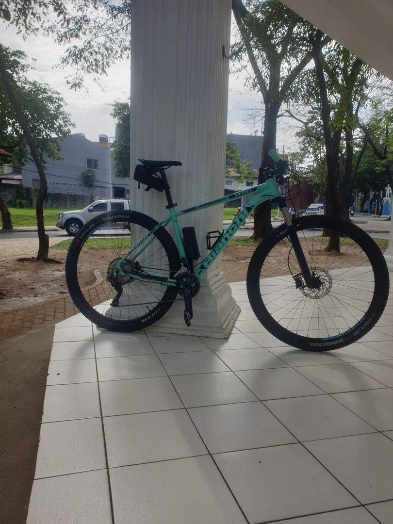 Bianchi grizzly 29.3 price shop