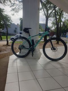 Bianchi Grizzly 29.3