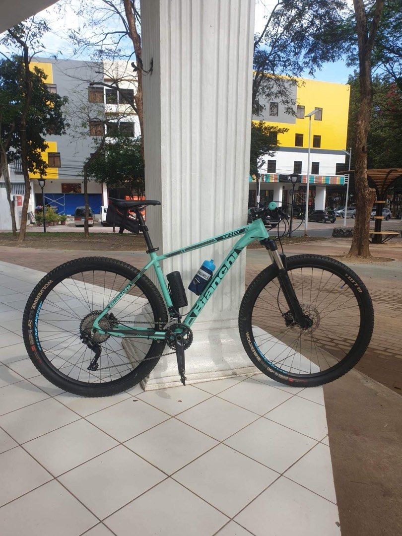 Bianchi Grizzly 29.3