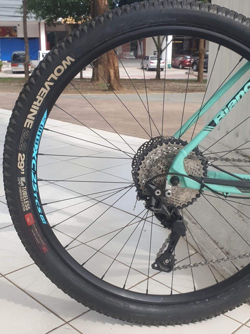 vintage bianchi grizzly