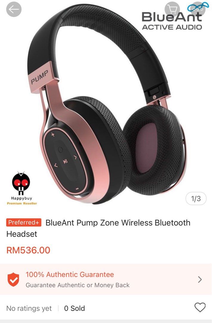 BlueAnt Pump Zone Wireless Bluetooth Headphones