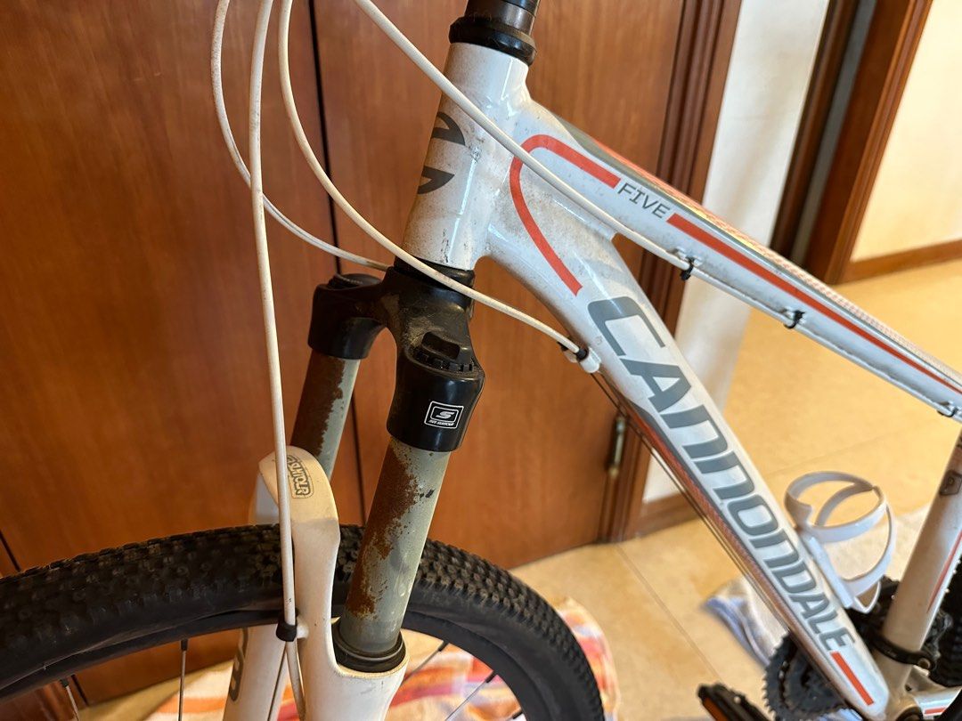 cannondale trail 5 women's bike