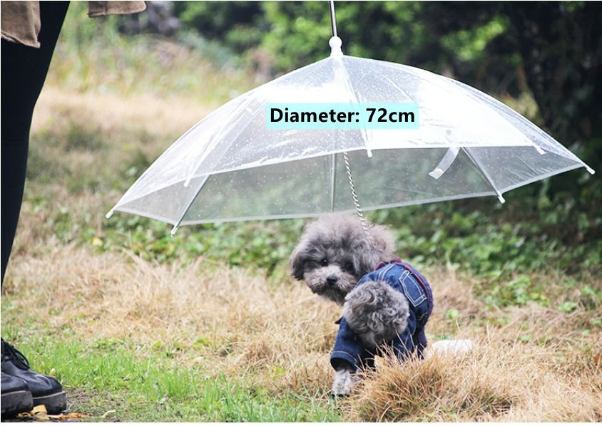 Shade umbrella for shop dogs