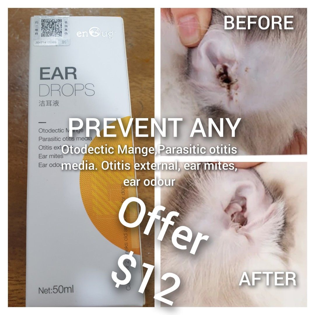 Ear Drops for Kitten Cat Dog Super Effective for prevent any of
