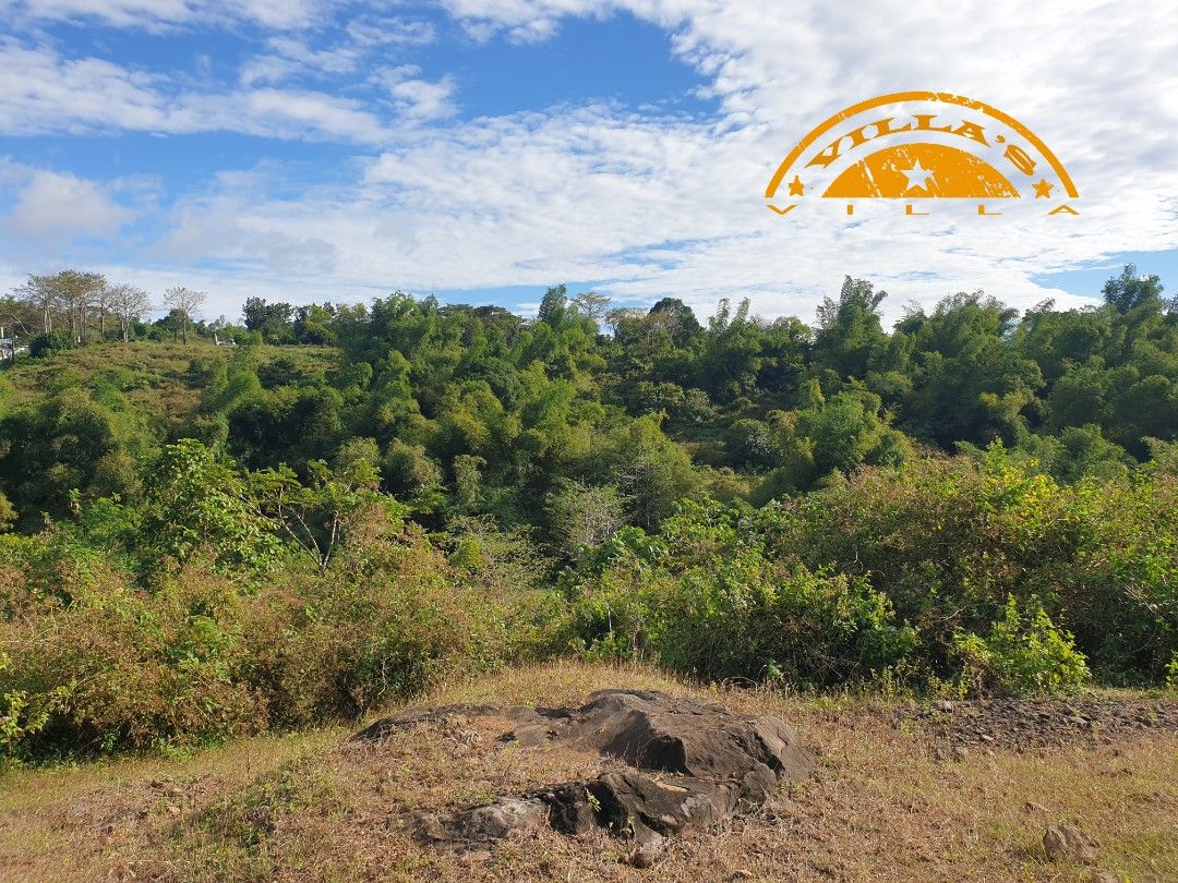 917 sqm FARM LOT with Overlooking View of Mountains in Morong Rizal