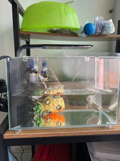 (Category: ) located in . Submitted by meyyylee (Listing ID 1212150037, Image 1). Description: .