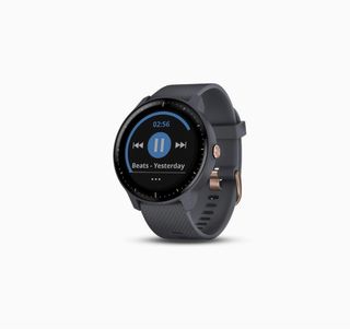 Garmin vivoactive 3 best sale music sale