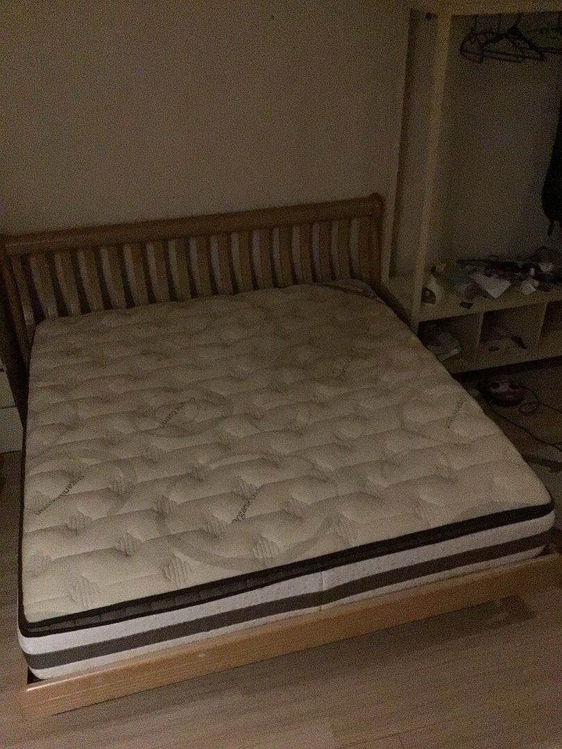 King koil spinal care pedic 13 online