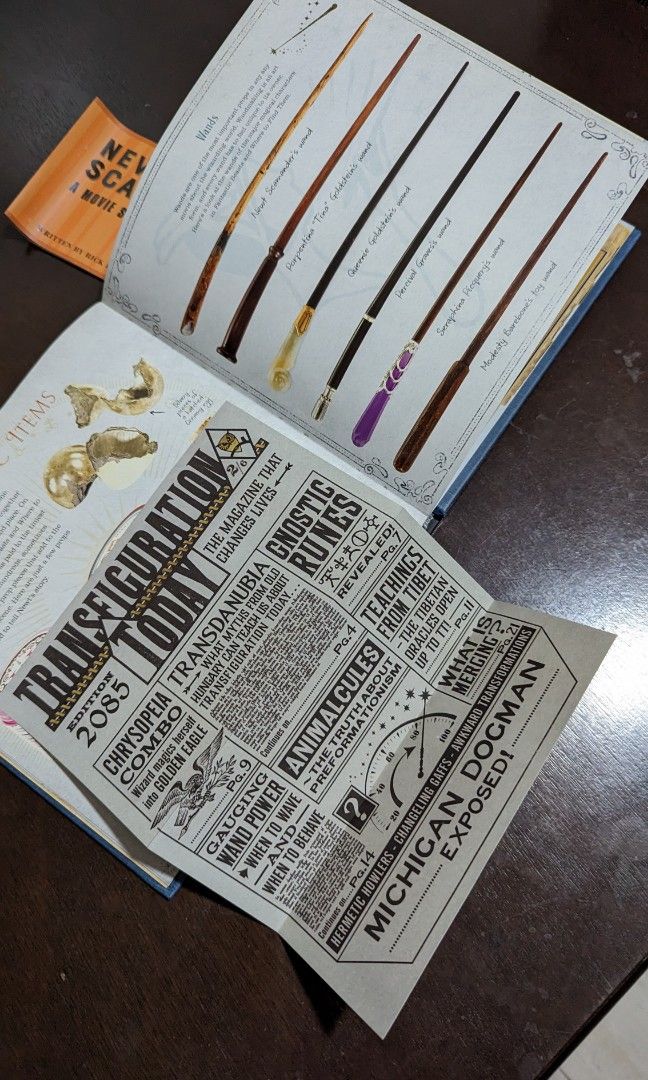 Newt Scamander Fantastic Beasts Movie Scrapbook, Hobbies & Toys, Books