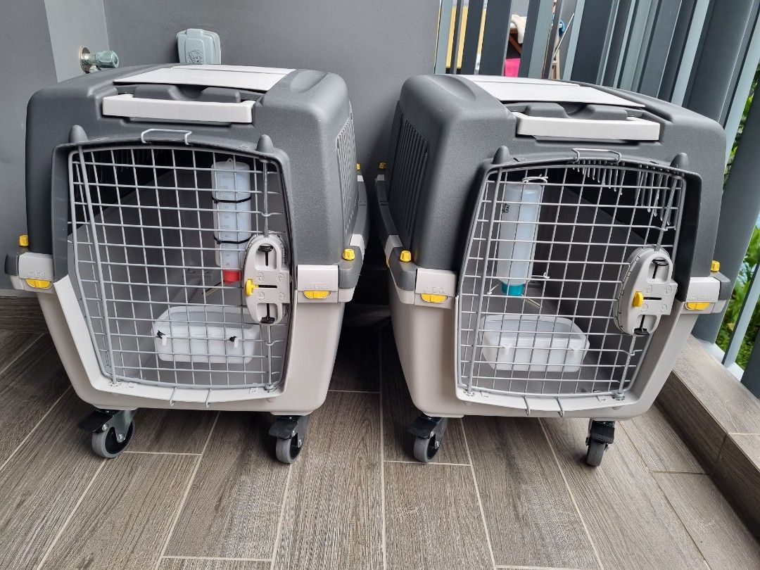 Pet transporter IATA approved for flights, Pet Supplies, Homes & Other